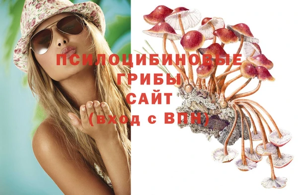 бошки Армянск