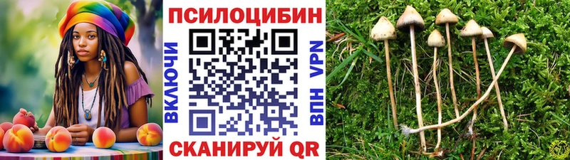 что такое наркотик  МЕГА как зайти  Галлюциногенные грибы Magic Shrooms  Николаевск 